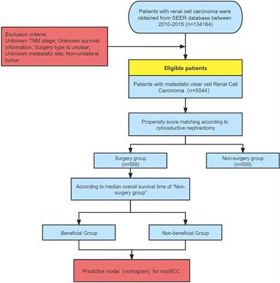 Selection of Optimal Candidates for Cytoreductive Nephrectomy in Patients with Metastatic Clear Cell Renal Cell Carcinoma: A Predictive Model Based on SEER Database